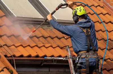 Démoussage et hydrofuge de toiture à Hans